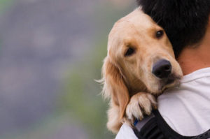 Shutterstock 136164980 1 620x412 1501773658331